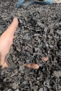 Imagem do WhatsApp de 2024-08-22 à(s) 16.56.37_d205dc44